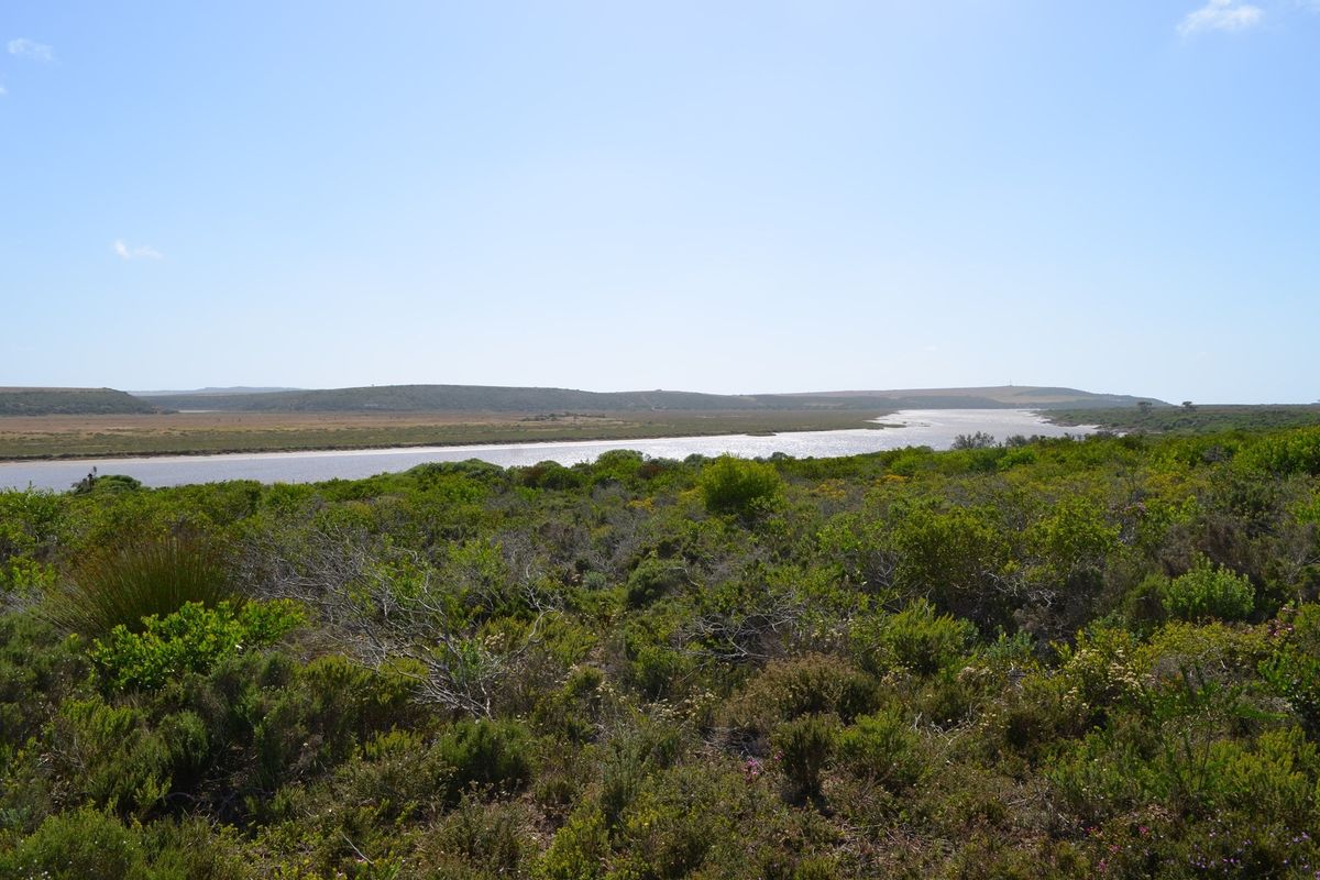 Open Plot Gourits river Estate - Photo 3