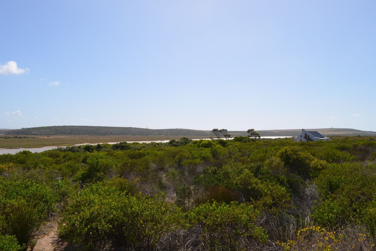 Open Plot Gourits river Estate - Photo 4