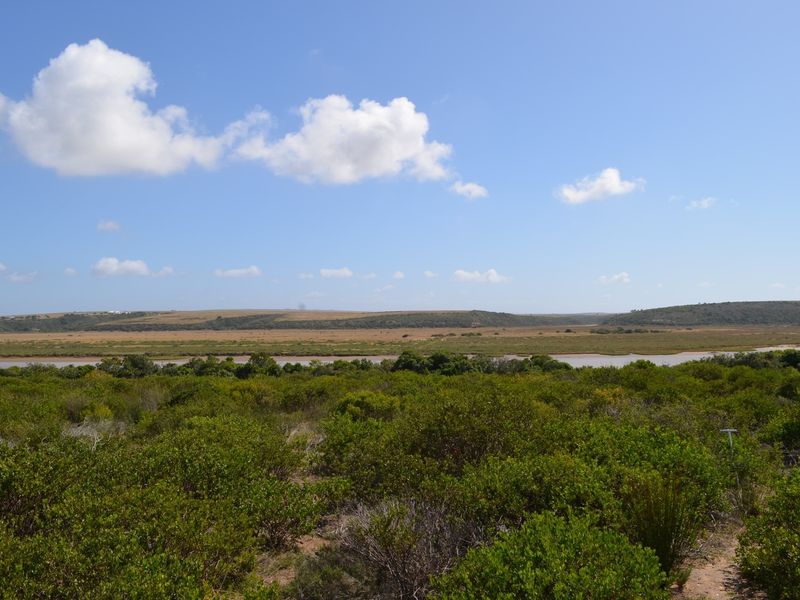 Open Plot Gourits river Estate - Photo 5