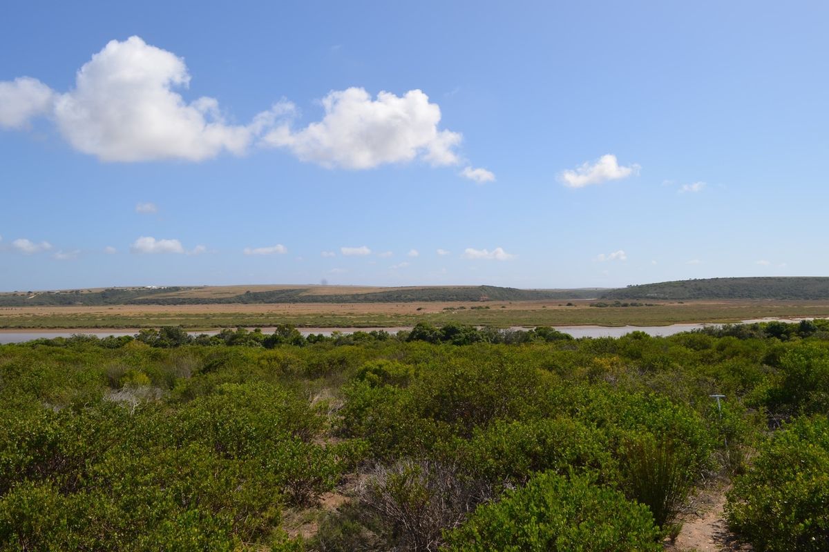 Open Plot Gourits river Estate - Photo 5