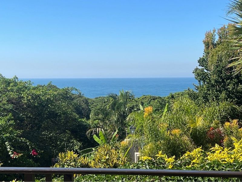 A Rare Ballito Gem On Show by Appointment 11 April 2026 - Photo 7