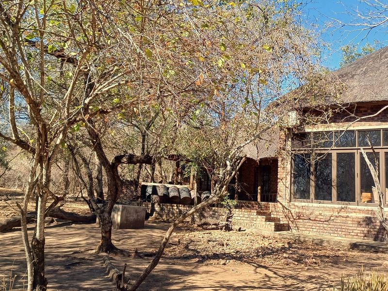 Rear view of a rustic house featuring a thatched roof, exposed brick walls, and large windows set within a natural, wooded landscape.