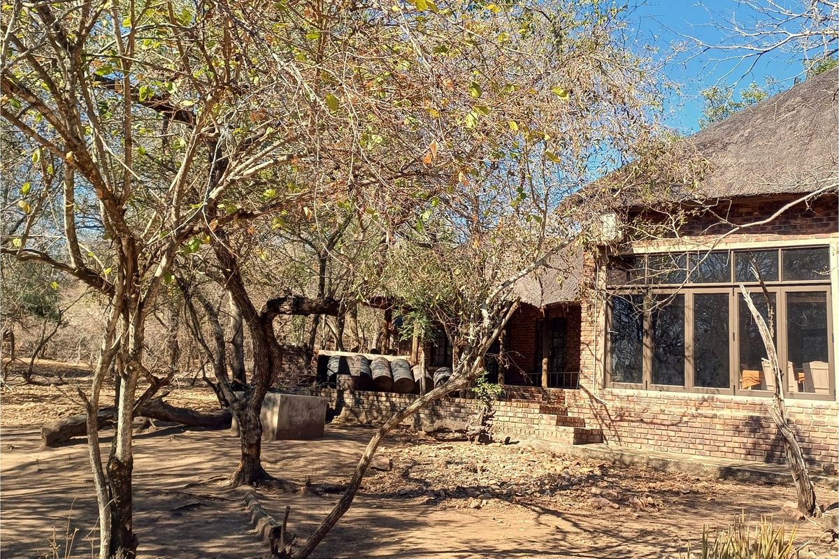 Rear view of a rustic house featuring a thatched roof, exposed brick walls, and large windows set within a natural, wooded landscape.