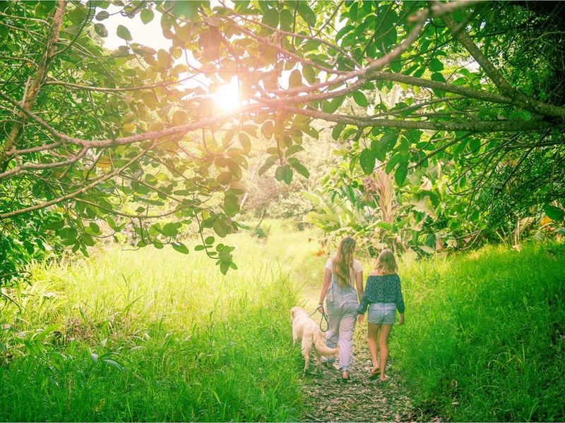 New Salt Rock City, Land for Sale from R950 000 - Photo 4