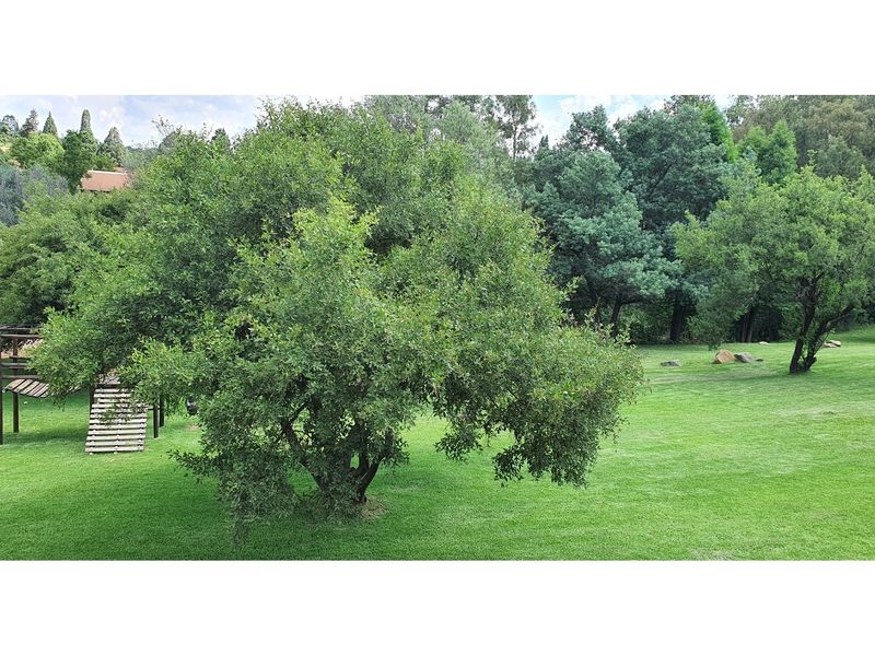 Charming 3-Bed Apartment in North Riding - Photo 10