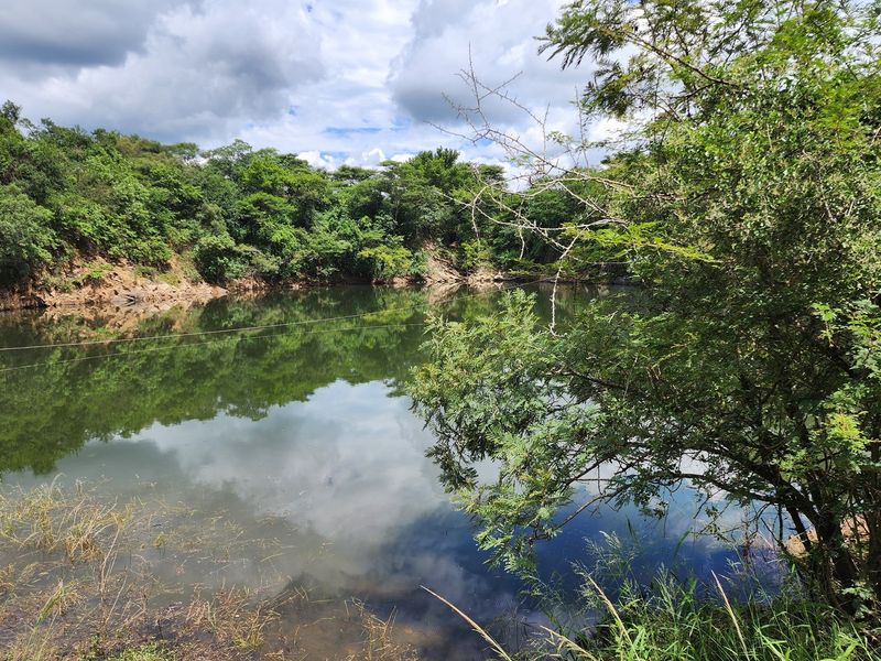 A scenic view of a natural farm dam surrounded by lush indigenous vegetation and trees.