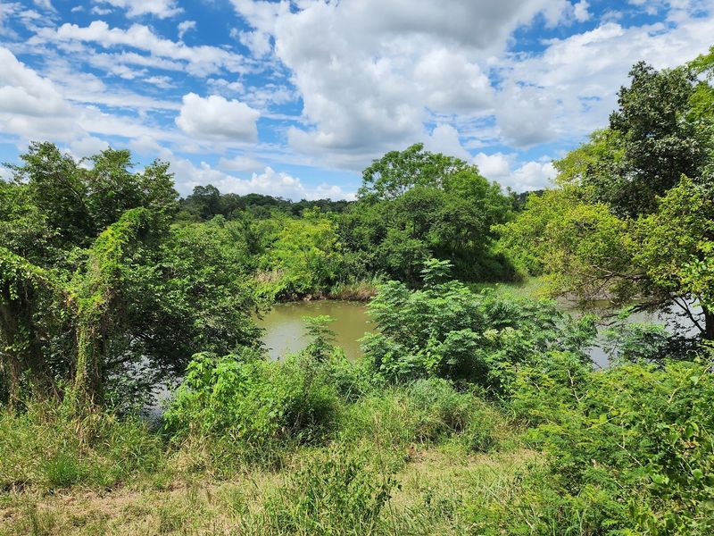 A scenic view of the natural landscape featuring lush green vegetation and a river flowing through the farm property.