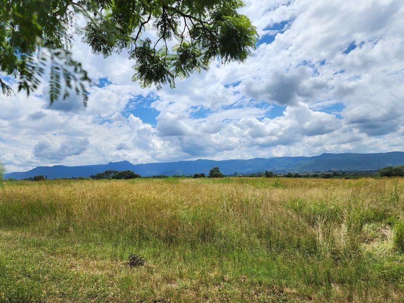 Expansive open farmland featuring natural grasslands with scenic mountain views under a bright, cloudy sky.