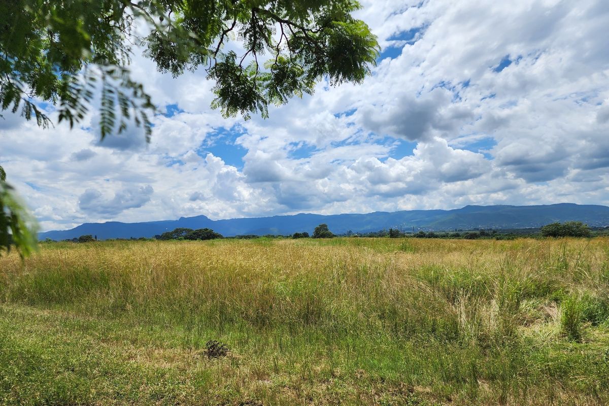 Expansive open farmland featuring natural grasslands with scenic mountain views under a bright, cloudy sky.