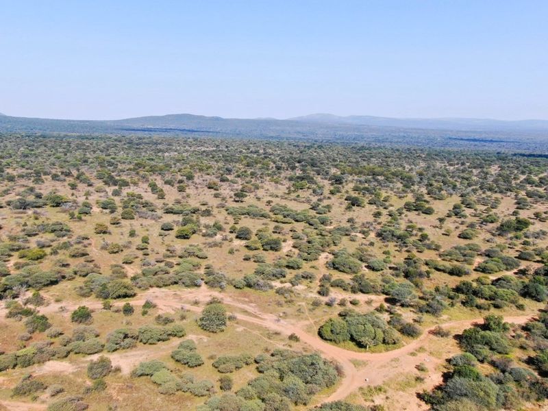 EXCLUSIVE GAME FARM OPPORTUNITY | CONNECTED AND PART OF A 15,000-HECTARE MEGA RESERVE - Photo 10
