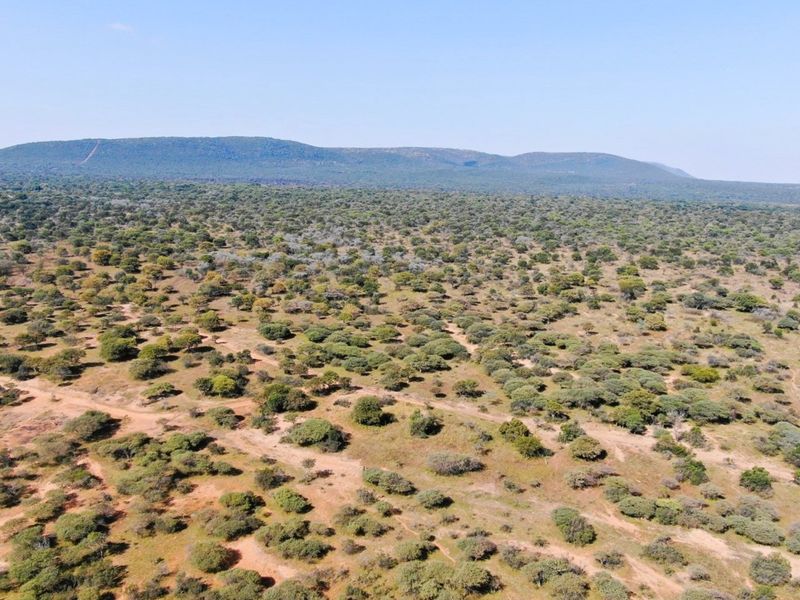 EXCLUSIVE GAME FARM OPPORTUNITY | CONNECTED AND PART OF A 15,000-HECTARE MEGA RESERVE - Photo 9