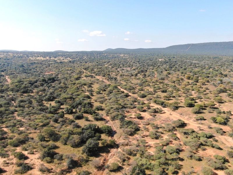EXCLUSIVE GAME FARM OPPORTUNITY | CONNECTED AND PART OF A 15,000-HECTARE MEGA RESERVE - Photo 8