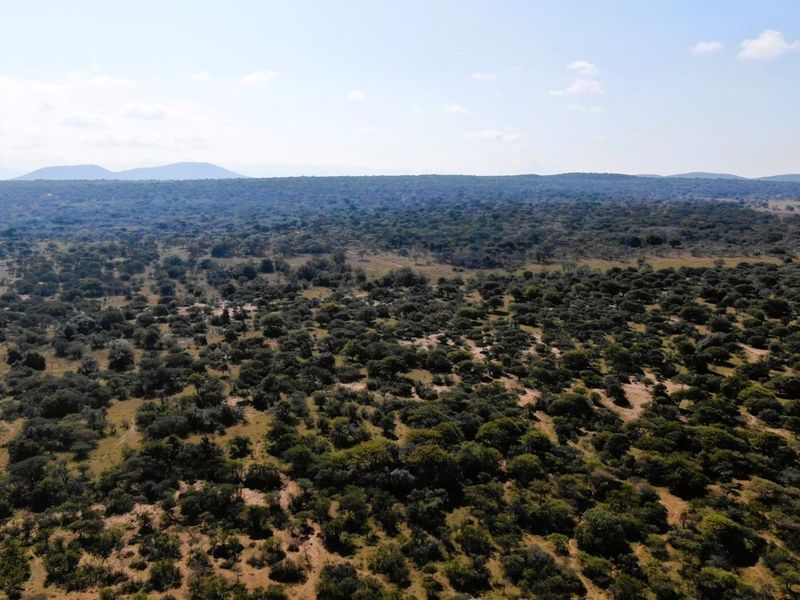 EXCLUSIVE GAME FARM OPPORTUNITY | CONNECTED AND PART OF A 15,000-HECTARE MEGA RESERVE - Photo 7