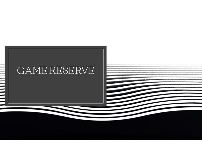 EXCLUSIVE GAME FARM OPPORTUNITY | CONNECTED AND PART OF A 15,000-HECTARE MEGA RESERVE - Photo 6