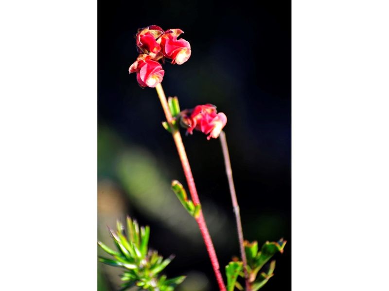 OWN YOUR OWN PIECE OF PARADISE IN JEFFREYS BAY! - Photo 9