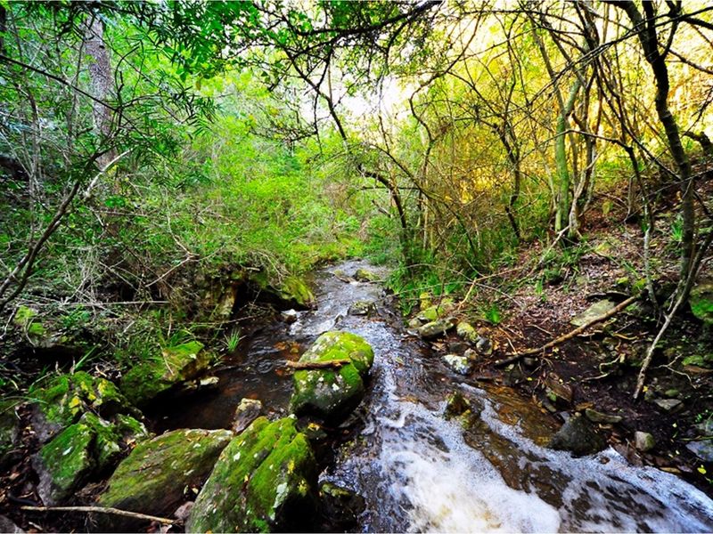 OWN YOUR OWN PIECE OF PARADISE IN JEFFREYS BAY! - Photo 8