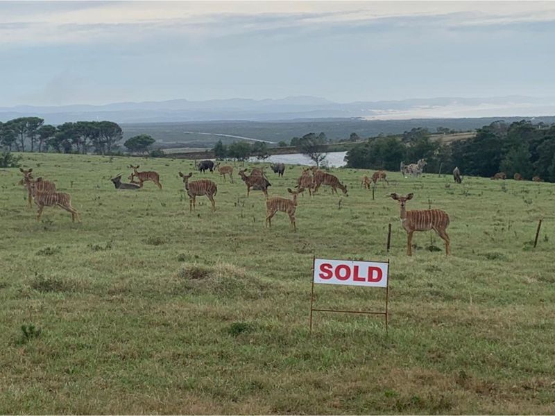 OWN YOUR OWN PIECE OF PARADISE IN JEFFREYS BAY! - Photo 5