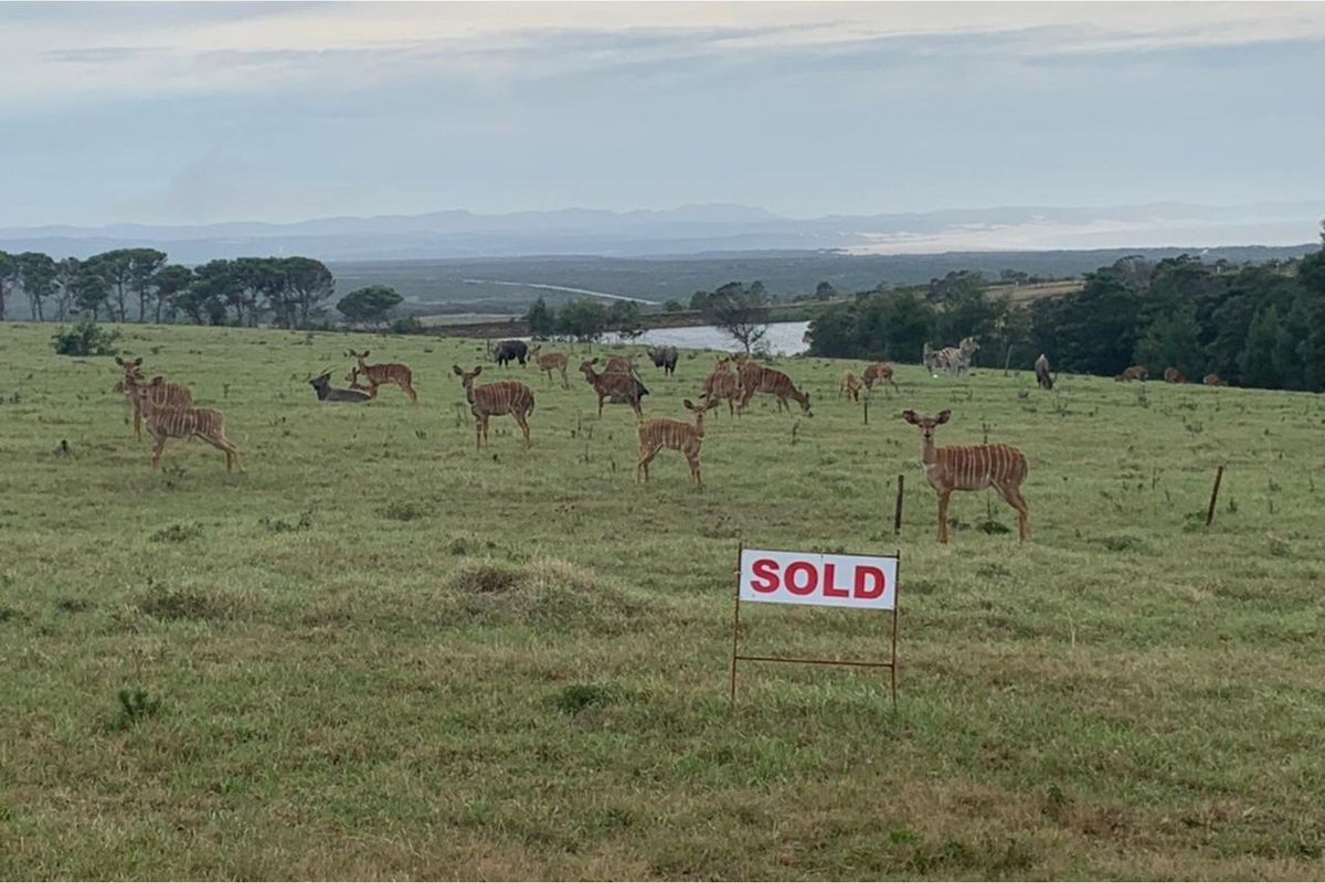 OWN YOUR OWN PIECE OF PARADISE IN JEFFREYS BAY! - Photo 5