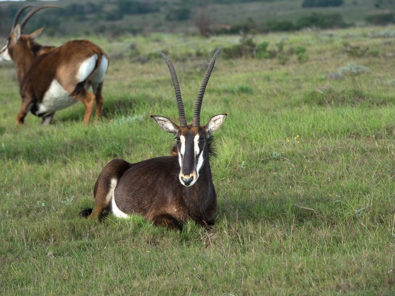 OWN YOUR OWN PIECE OF PARADISE IN JEFFREYS BAY! - Photo 2