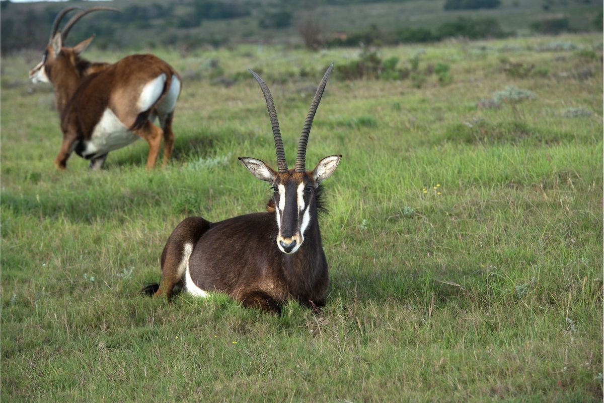 OWN YOUR OWN PIECE OF PARADISE IN JEFFREYS BAY! - Photo 2