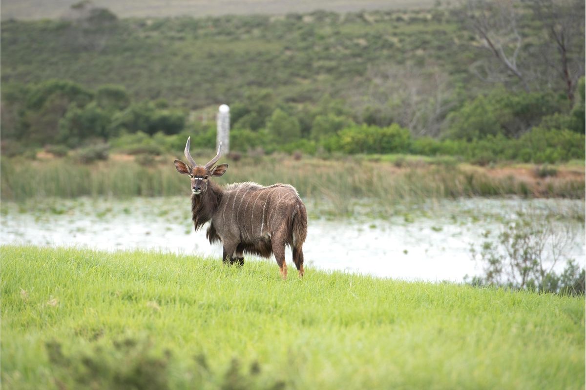 OWN YOUR OWN PIECE OF PARADISE IN JEFFREYS BAY! - Photo 4