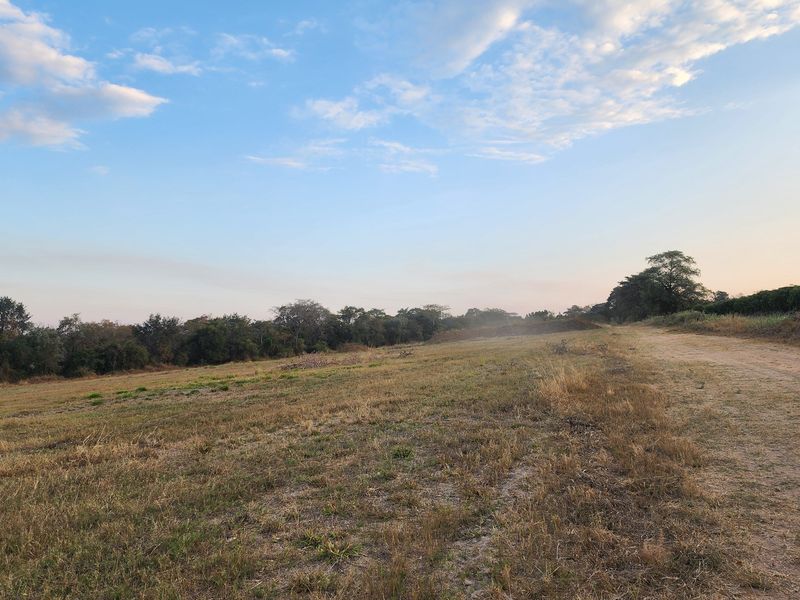 64 Ha irrigation farm in Tzaneen for sale - Photo 6