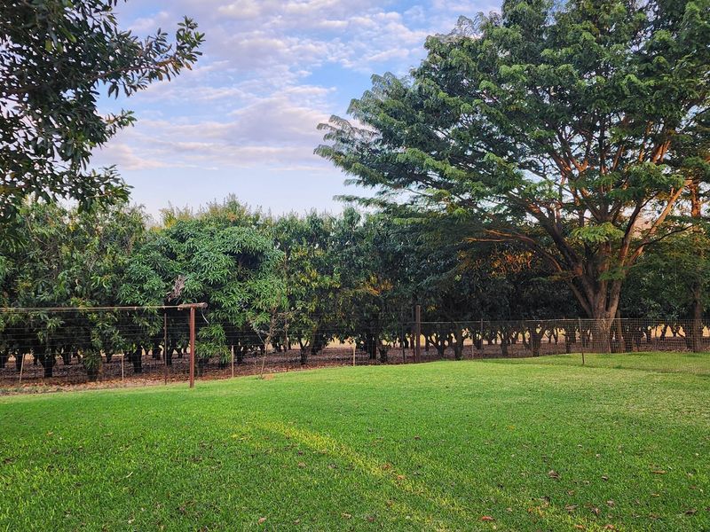 64 Ha irrigation farm in Tzaneen for sale - Photo 4