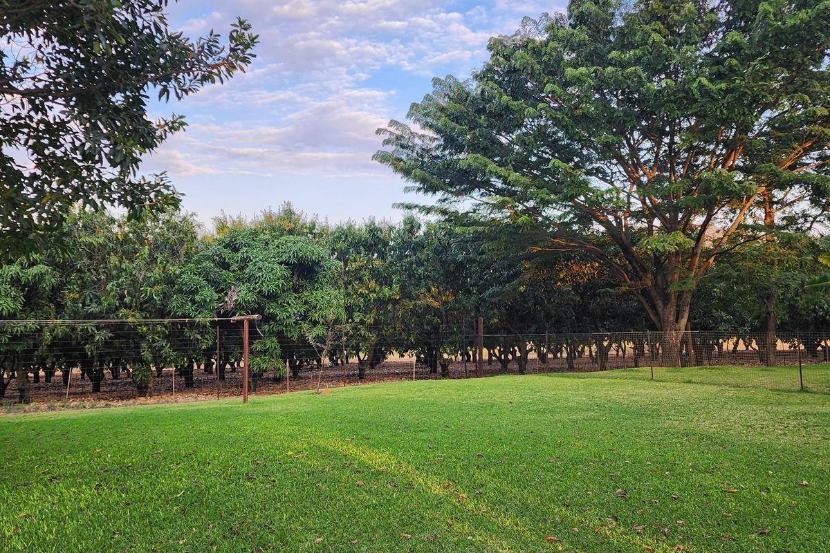 64 Ha irrigation farm in Tzaneen for sale - Photo 4