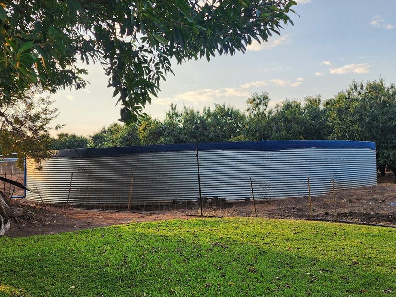 64 Ha irrigation farm in Tzaneen for sale - Photo 5