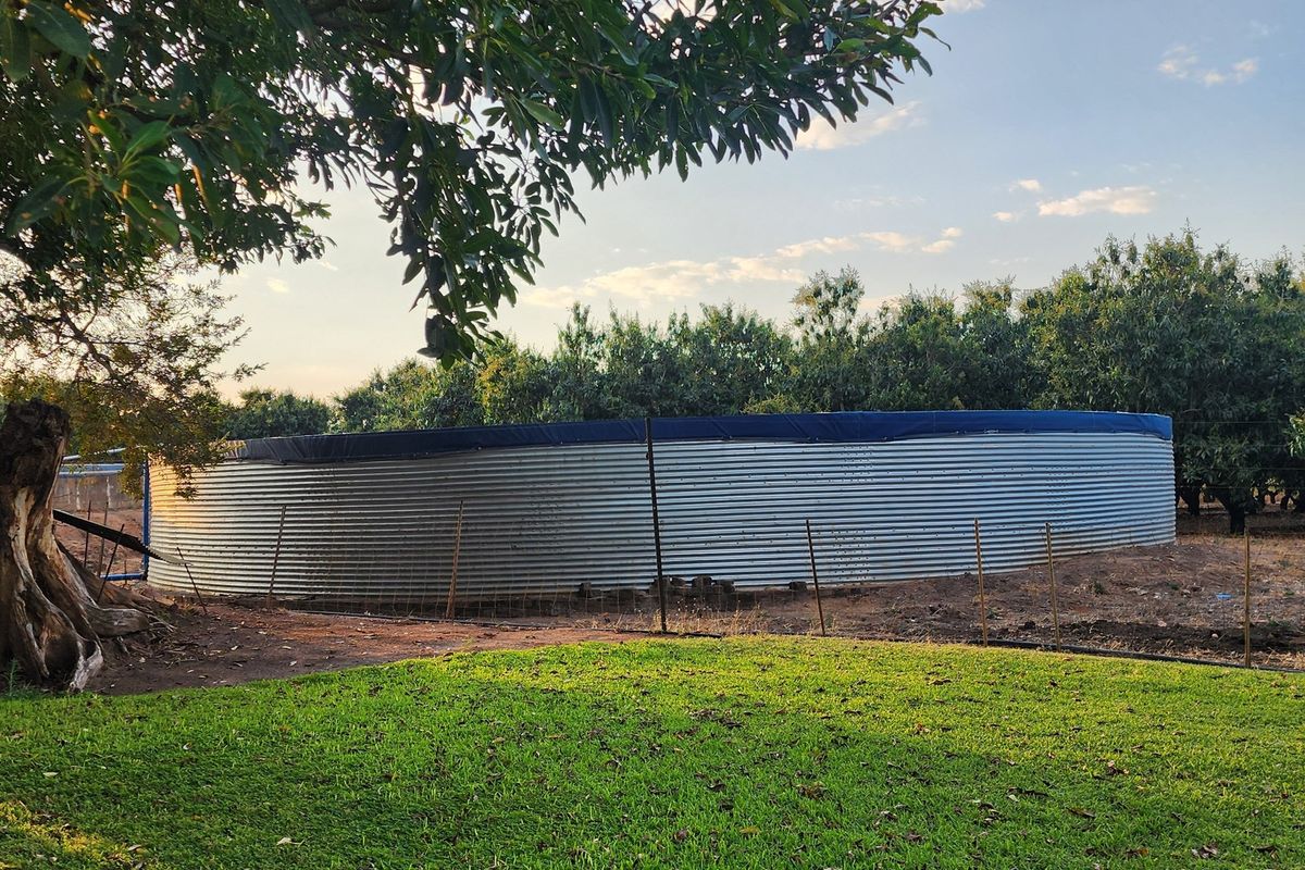 64 Ha irrigation farm in Tzaneen for sale - Photo 5