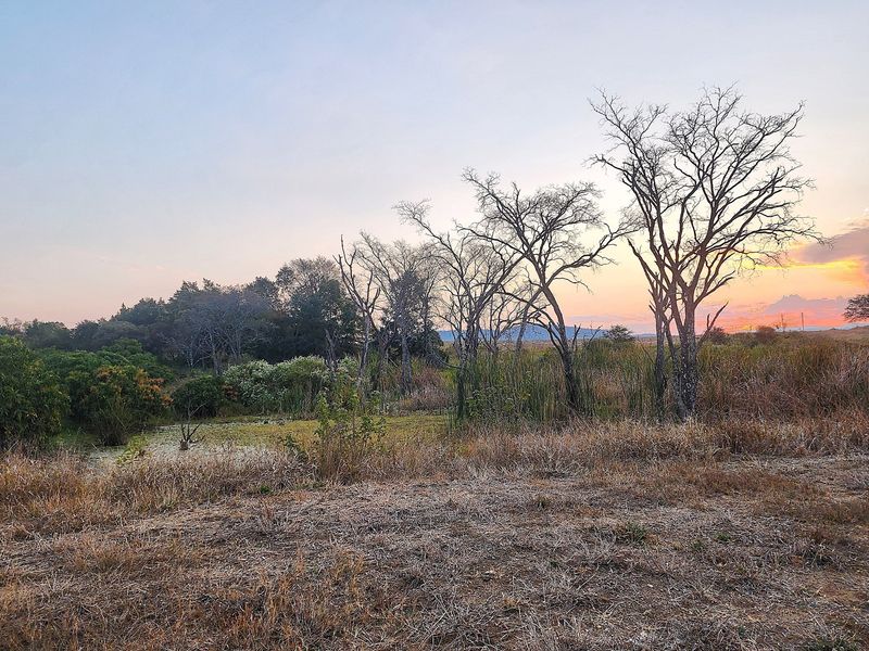64 Ha irrigation farm in Tzaneen for sale - Photo 1