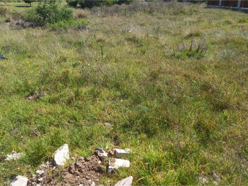 Coastal Vacant Land in Fountains Estate - Photo 2