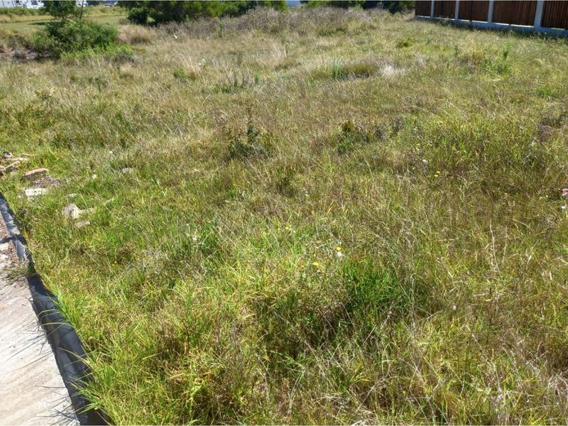 Coastal Vacant Land in Fountains Estate - Photo 3