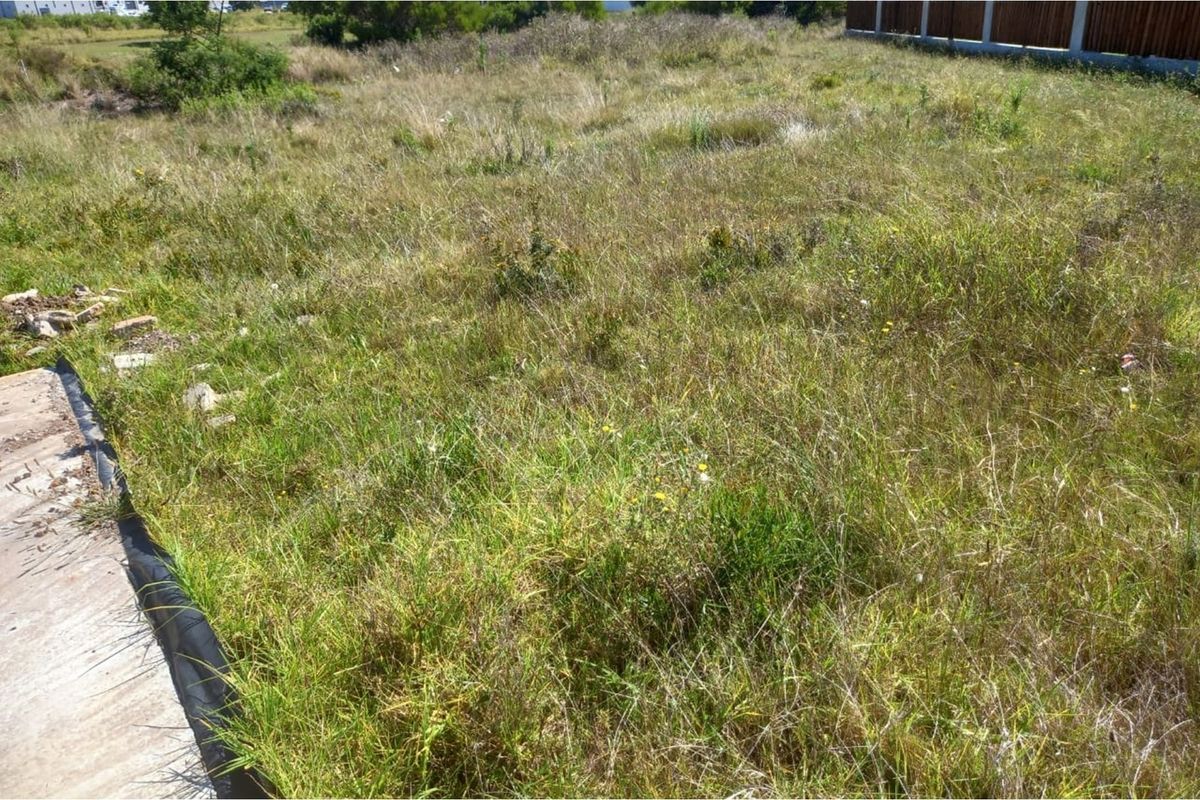 Coastal Vacant Land in Fountains Estate - Photo 3