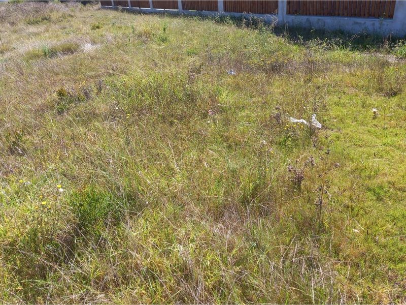 Coastal Vacant Land in Fountains Estate - Photo 5