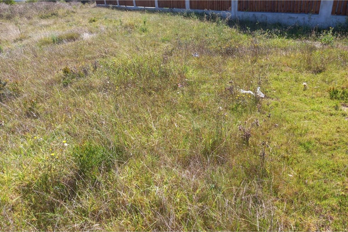 Coastal Vacant Land in Fountains Estate - Photo 5