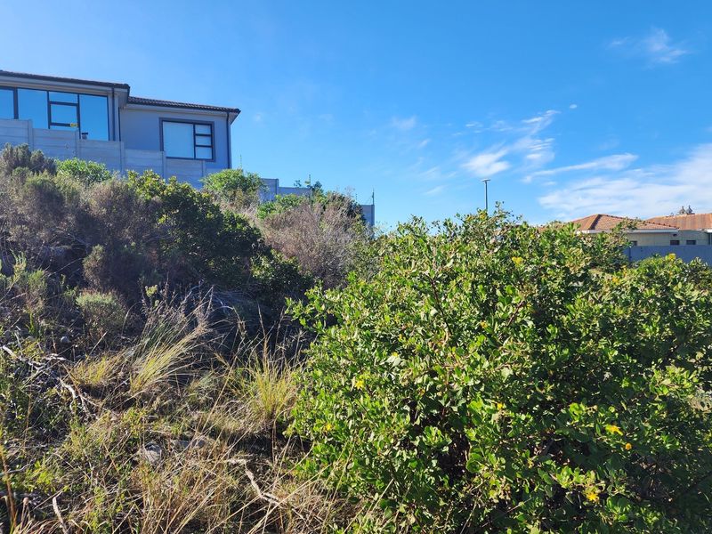 A view of a vacant residential plot featuring natural vegetation and shrubs, with neighboring residential properties visible in the background.