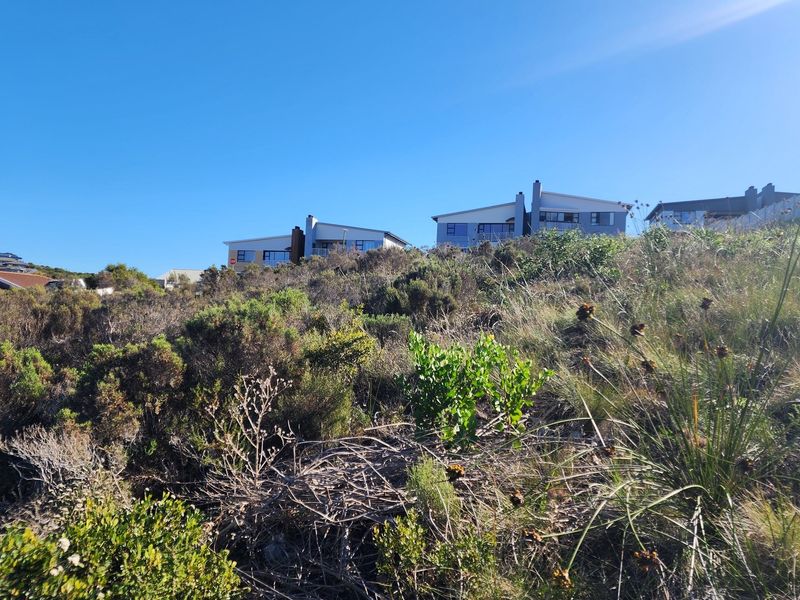 A view of a sloped, undeveloped residential plot featuring native coastal vegetation with established neighboring homes visible in the background.