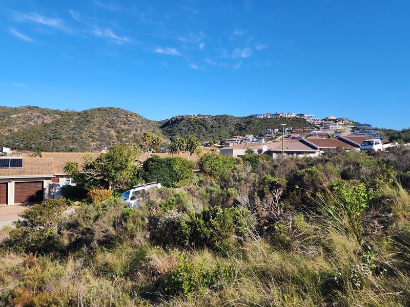 A view of a vacant residential plot featuring natural coastal vegetation with surrounding established residential properties and hillside landscape in the background.