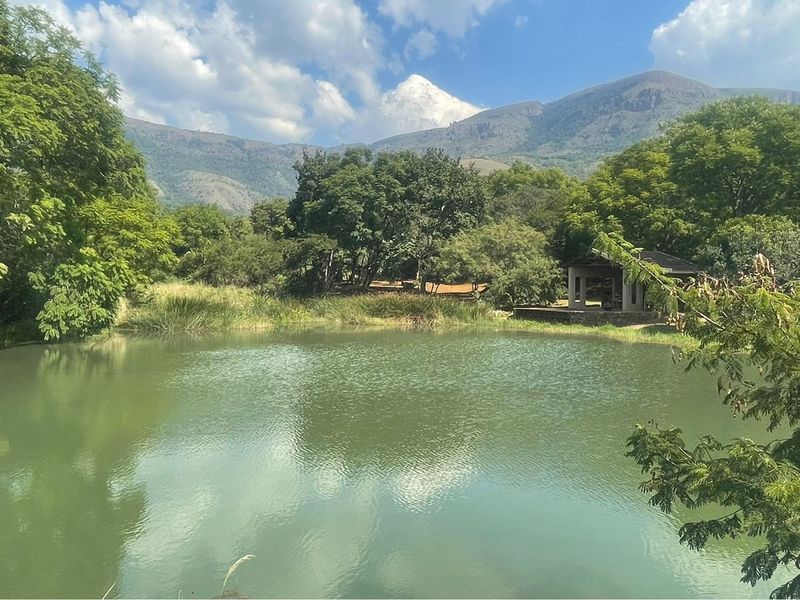 A scenic view of a natural pond surrounded by lush greenery and mature trees, with a small covered outdoor structure visible in the distance.