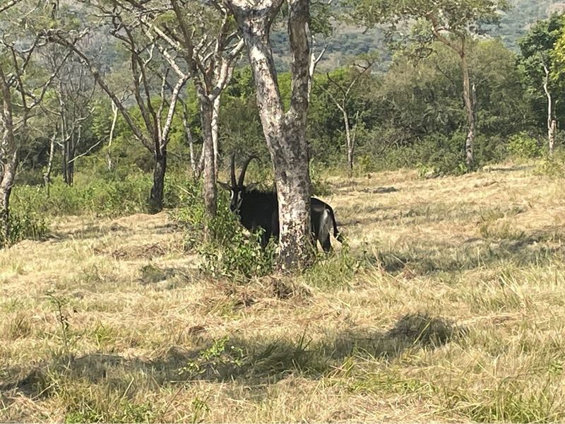 House For Sale in Nelspruit Rural, Nelspruit - Photo 9