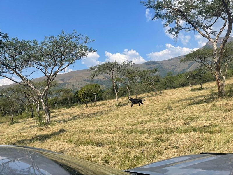 House For Sale in Nelspruit Rural, Nelspruit - Photo 8