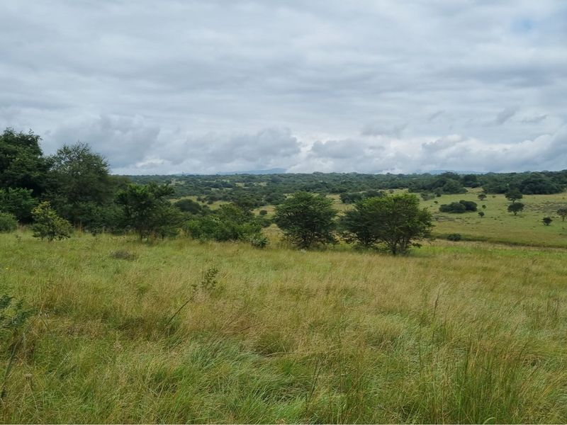 1211-Hectare Conservation Property for Sale - Photo 10