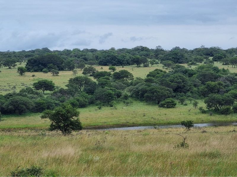 1211-Hectare Conservation Property for Sale - Photo 3