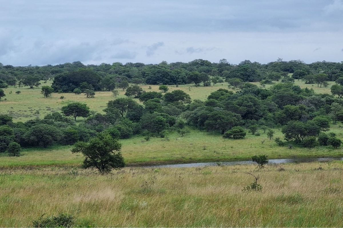 1211-Hectare Conservation Property for Sale - Photo 3