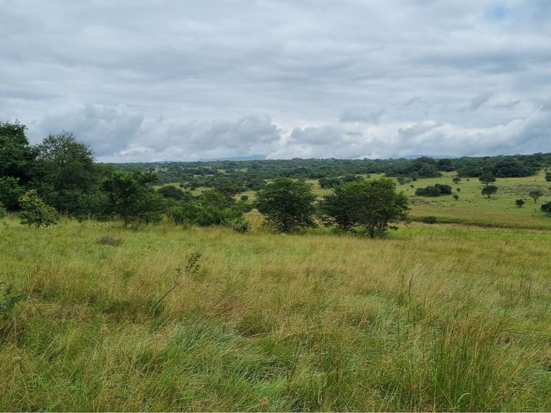 1211-Hectare Conservation Property for Sale - Photo 7