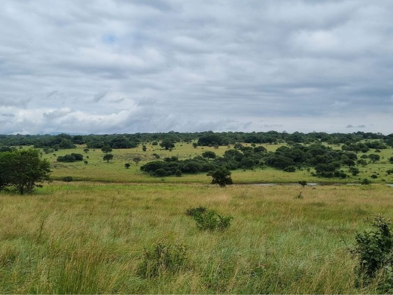 1211-Hectare Conservation Property for Sale - Photo 9