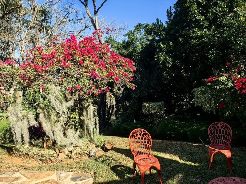 Where English Country Romance Meets the Wild Lowveld - A Rare Schoemanskloof Estate - Photo 10