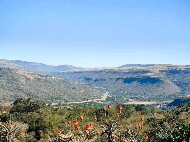 Where English Country Romance Meets the Wild Lowveld - A Rare Schoemanskloof Estate - Photo 8