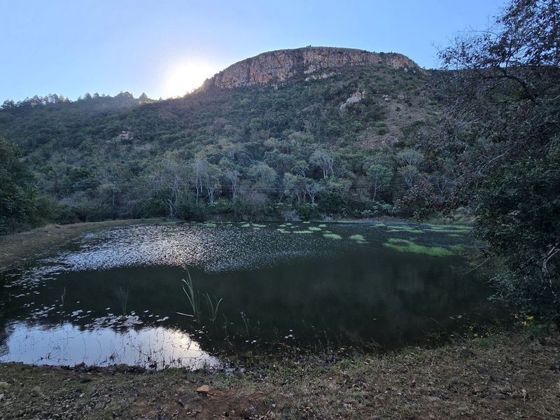 Where English Country Romance Meets the Wild Lowveld - A Rare Schoemanskloof Estate - Photo 9
